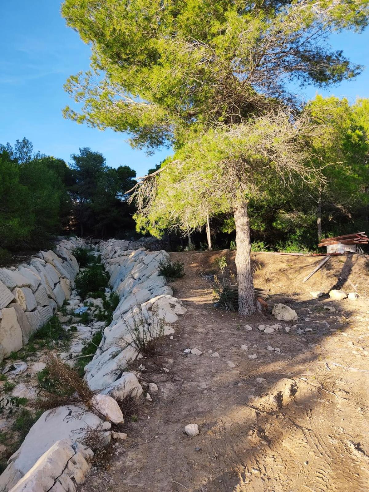 Apartament Costa Rica 2, 150 Meters To The Beach Μπένιντορμ Εξωτερικό φωτογραφία